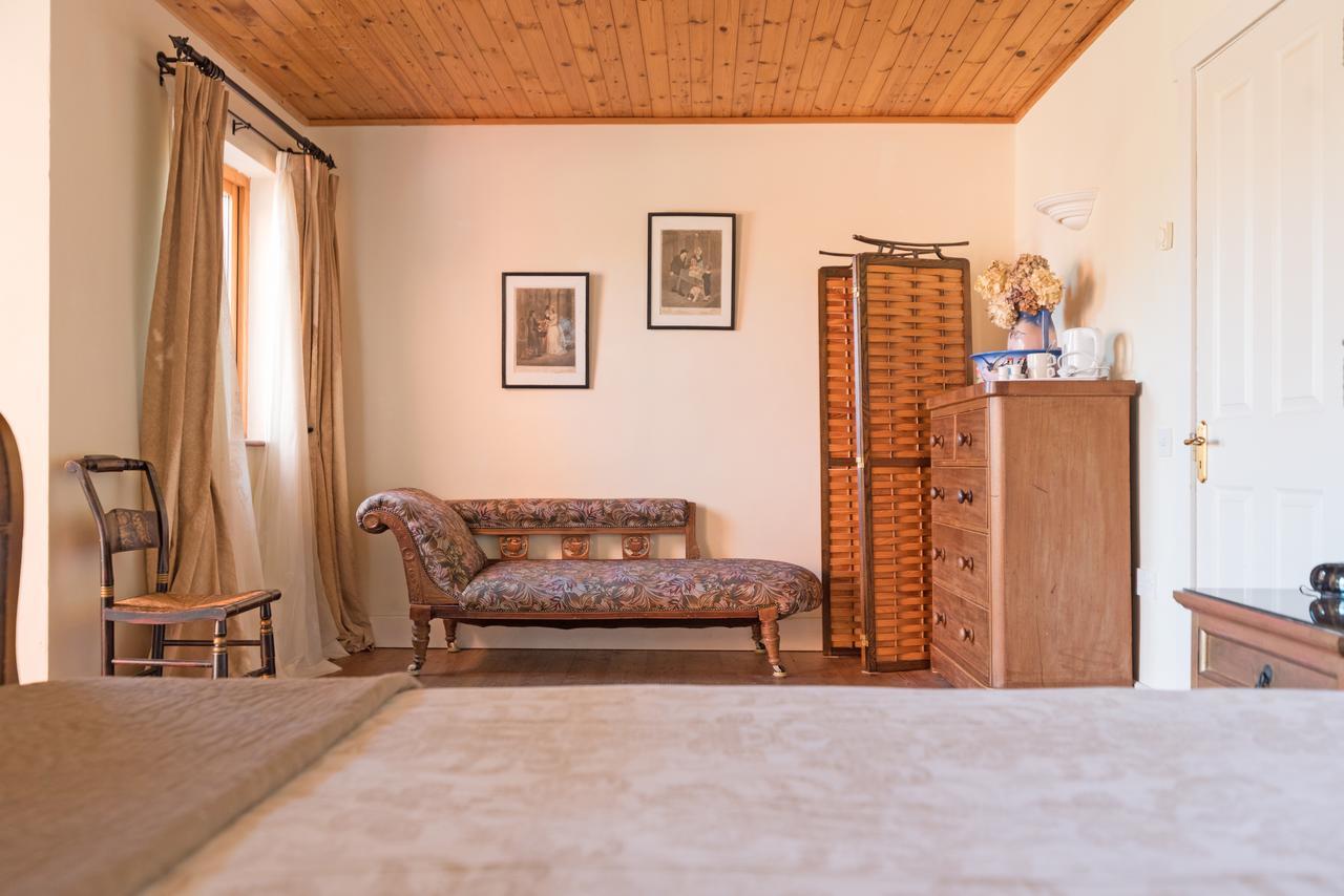 فندق كليفدينفي  Dolphin Beach House المظهر الخارجي الصورة